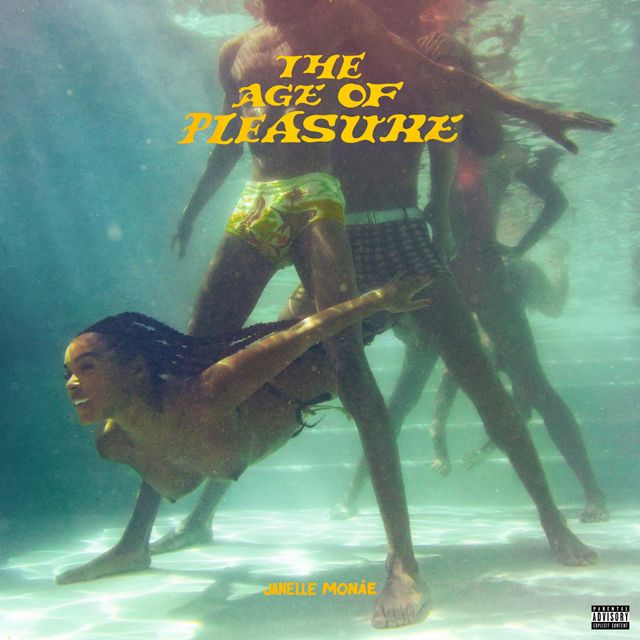 THE AGE OF PLEASURE