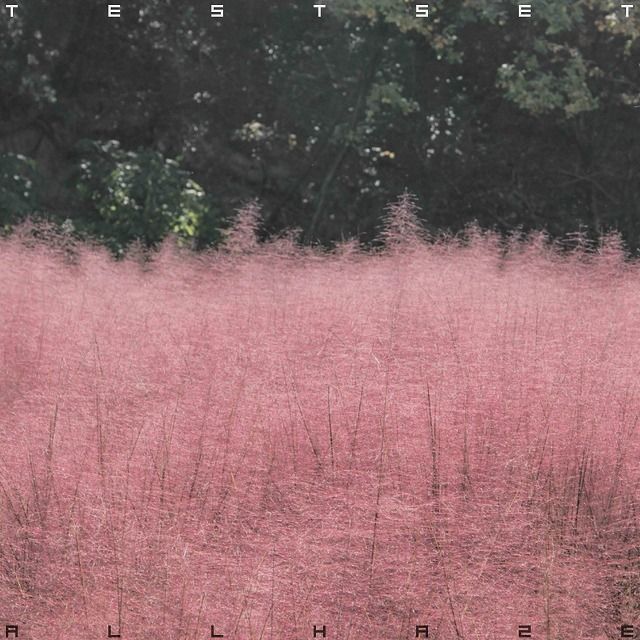 ALL HAZE