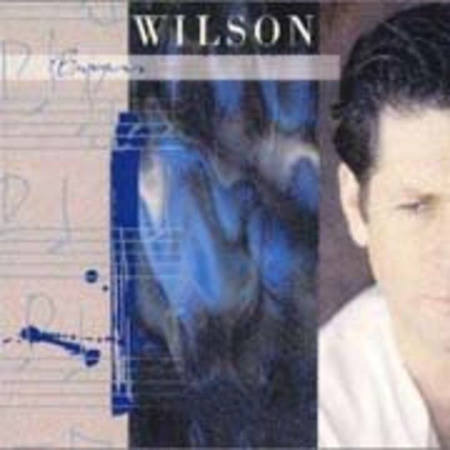 ブライアン・ウィルソン / Brian Wilson「ブライアン・ウィルソン