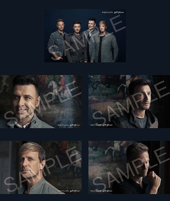 ウエストライフ / Westlife「ワイルド・ドリームズ / Wild Dreams