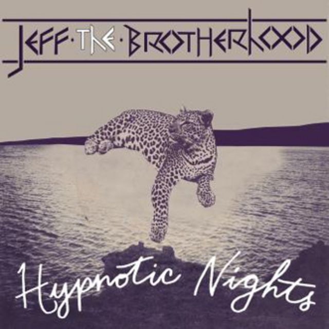 HYPNOTIC NIGHTS