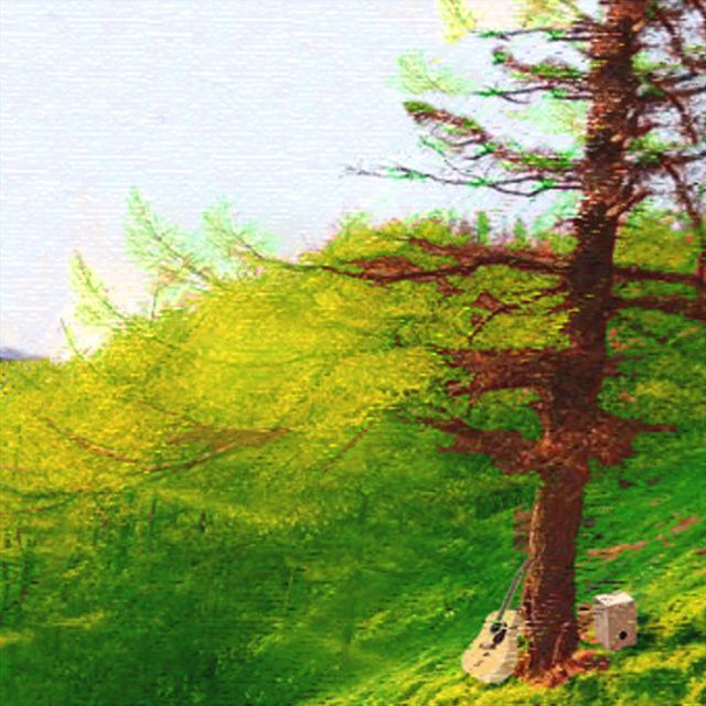COLOR MATERIAL