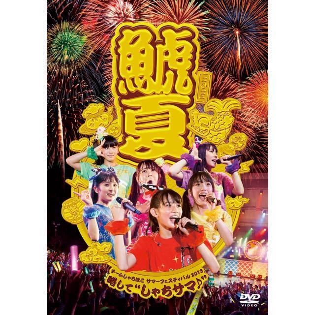 チームしゃちほこサマーフェスティバル2013～略して “しゃちサマ♪”（DVD）