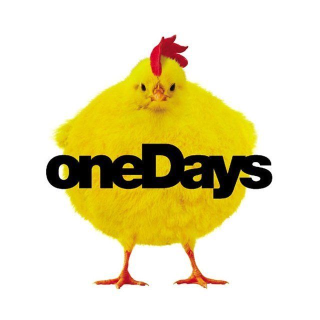 one Days