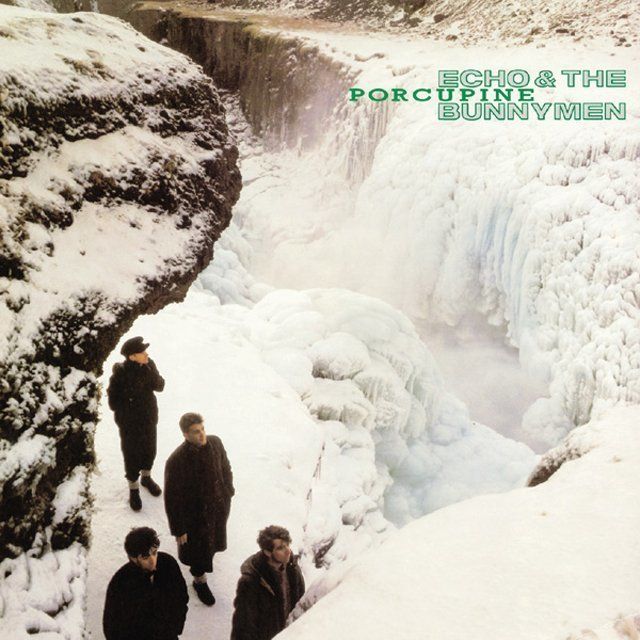 エコー＆ザ・バニーメン / Echo ＆ The Bunnymen「ポーキュパイン