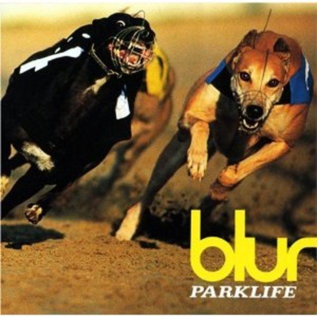 ブラー　伝記本　絶版　初版　3832days BLUR ブラー 伝記本 絶版 初版 3832days BLUR 正規 品