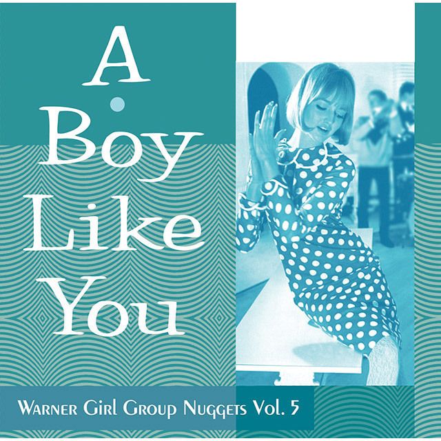 ア・ボーイ・ライク・ユー~ワーナー・ガール・グループ・ナゲッツ Vol.5