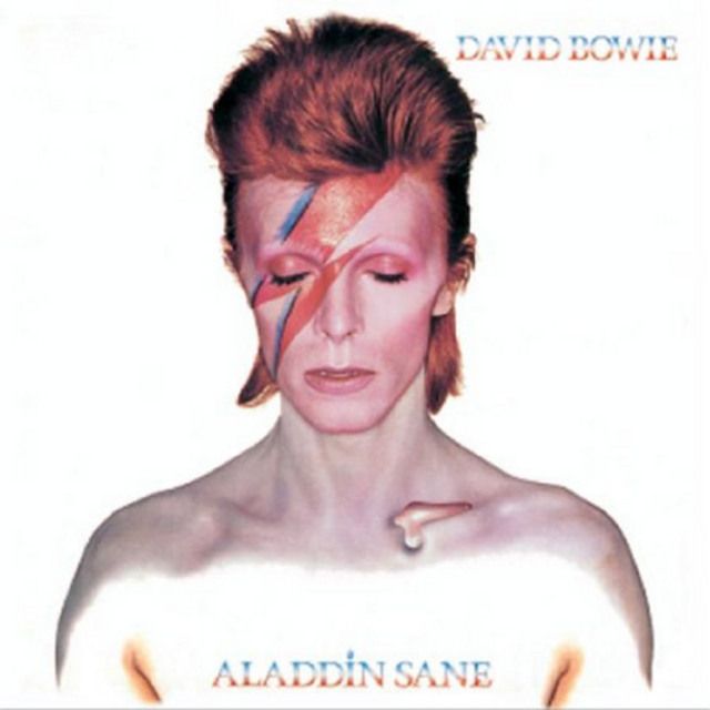 David Bowie デビッド・ボウイ CD アメリカRYCO盤11作品セット デヴィッド・ボウイ / David Bowie ディスコグラフィー | Warner Music