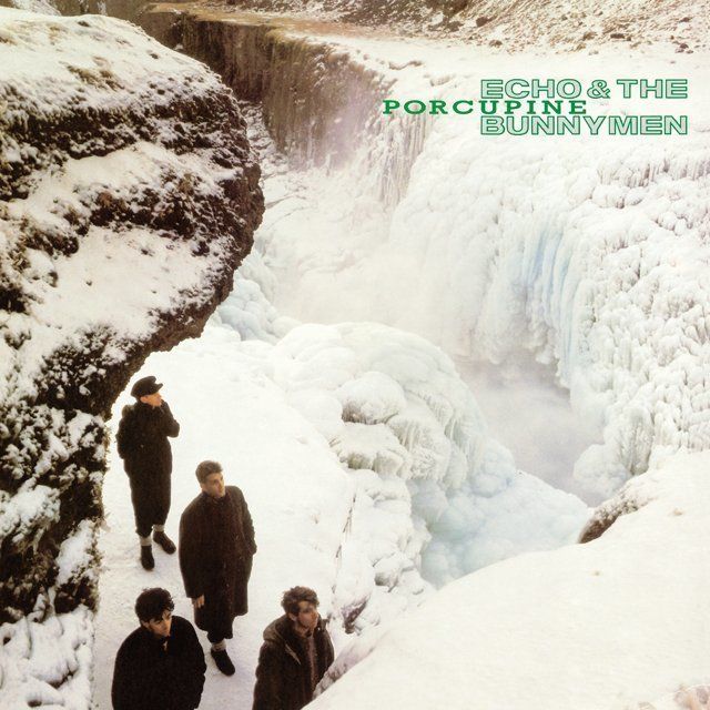 エコー＆ザ・バニーメン / Echo ＆ The Bunnymen「ポーキュパイン