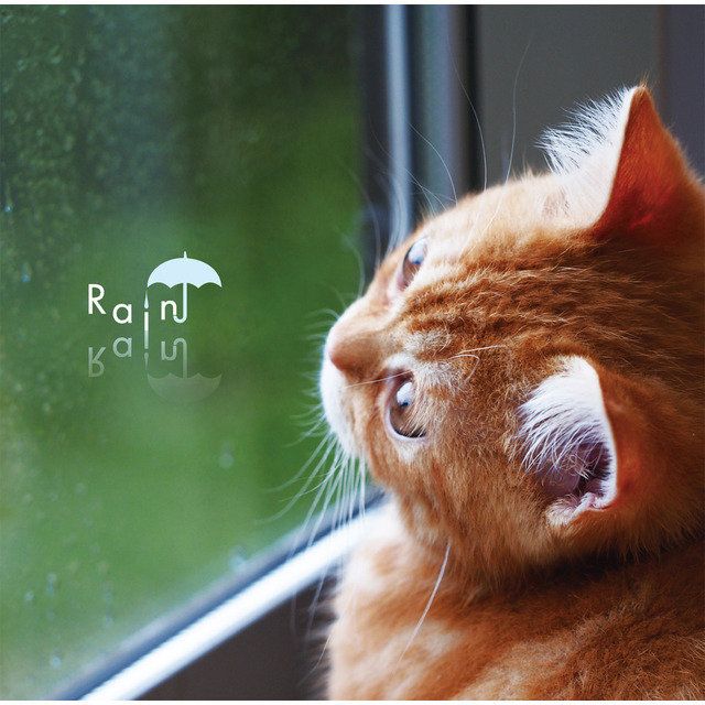 まるごと！雨の日