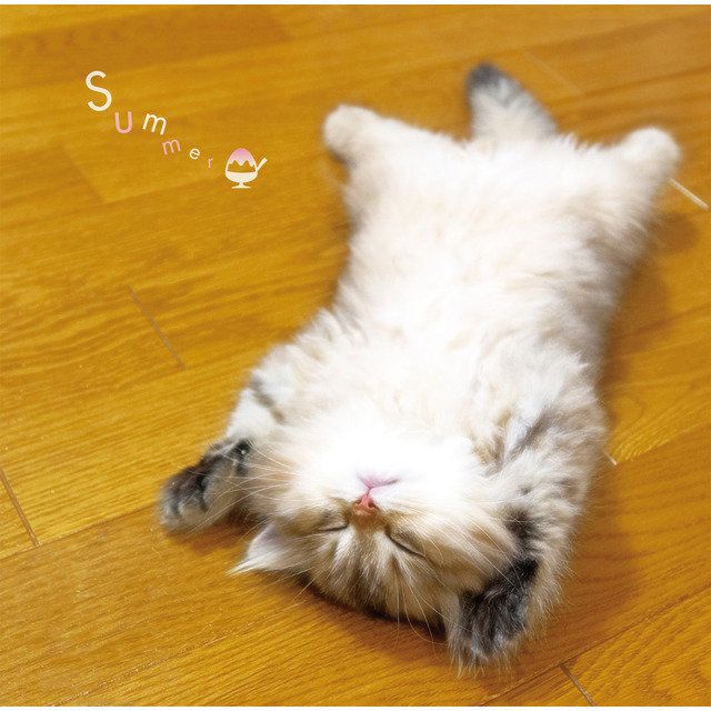 まるごと！夏 －Summer－