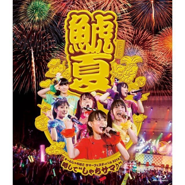 チームしゃちほこ「チームしゃちほこサマーフェスティバル2013～略して